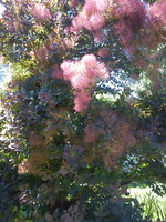 DSC07940.jpg