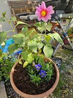 20240610_174317.jpg