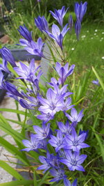 20240610_132435.jpg