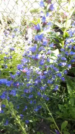 20240609_175338.webp