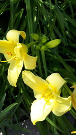 20240608_113456.jpg