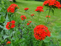 DSC03479.JPG