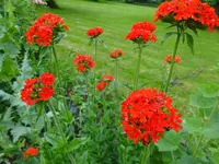 DSC03479.JPG