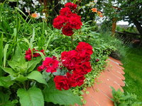 DSC03480.JPG