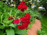 DSC03480.JPG