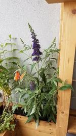 20240608_141659.webp
