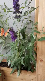 20240611_184823.webp