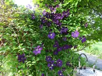 DSC03460.JPG