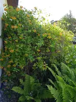 IMG_20240610_163247_1.webp