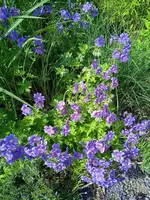 IMG_20240610_163854.webp
