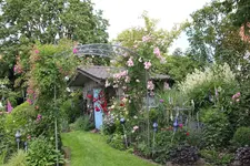 Juni         6824.webp