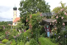 Juni         7024.webp