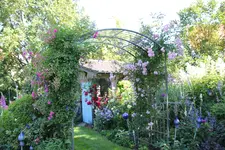 Juni         6124.webp