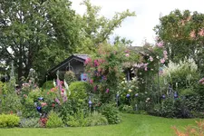 Juni         6424.webp