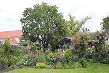 Juni         6624.JPG