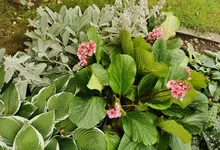 IMG_20240612_121528.webp