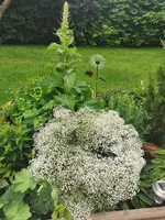 IMG_20240612_121145.webp