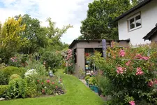 Juni         7624.webp
