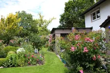Juni         7924.webp