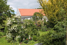 Rosenlaube   0224.JPG