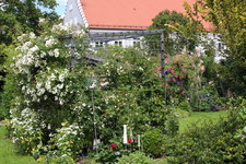 Rosenlaube   0324.JPG
