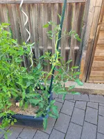 20240613_064527.webp