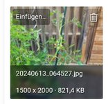Screenshot_20240613_100148_Chrome.webp