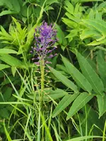 IMG_20240612_163012.webp