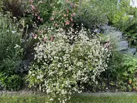 IMG_5758.webp