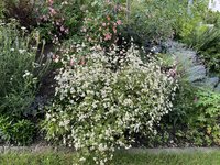 IMG_5758.jpeg