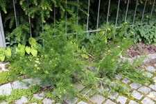 Was ist das 0124.JPG