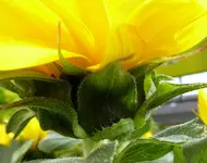 016.webp