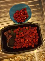 20240613_171134.jpg