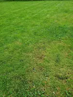 20240614_072537.webp