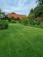 20210824_174922.webp