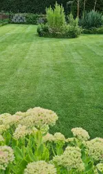 20210824_175115.webp