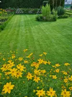 20210824_175121.webp