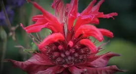 ftwttbwrbJun24.webp