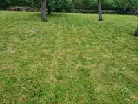 20240614_072629.webp