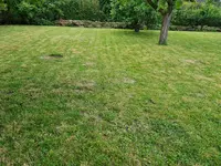 20240614_072637.webp