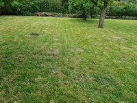 20240614_072637.jpg