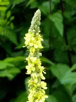 002.webp