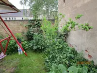 es geht allen gut 15.06.24.webp