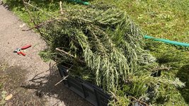 IMG_0235.jpeg