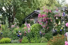 Juni         9624.webp