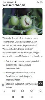 Screenshot_2024-06-15-17-30-54-492_com.mi.globalbrowser.jpg