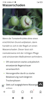 Screenshot_2024-06-15-17-30-54-492_com.mi.globalbrowser.jpg