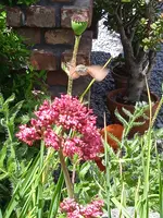 IMG_20240615_135918_1.webp