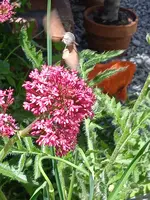IMG_20240615_135942.webp