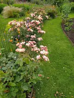 IMG_20240615_155843.jpg